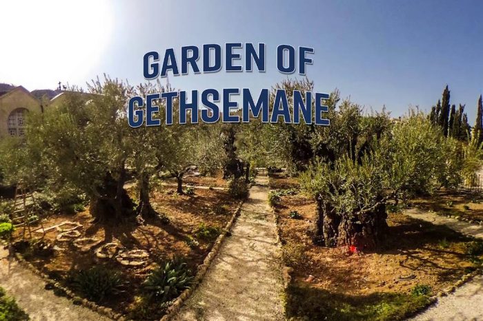 Thăm vườn Gethsemane ở Jerusalem
