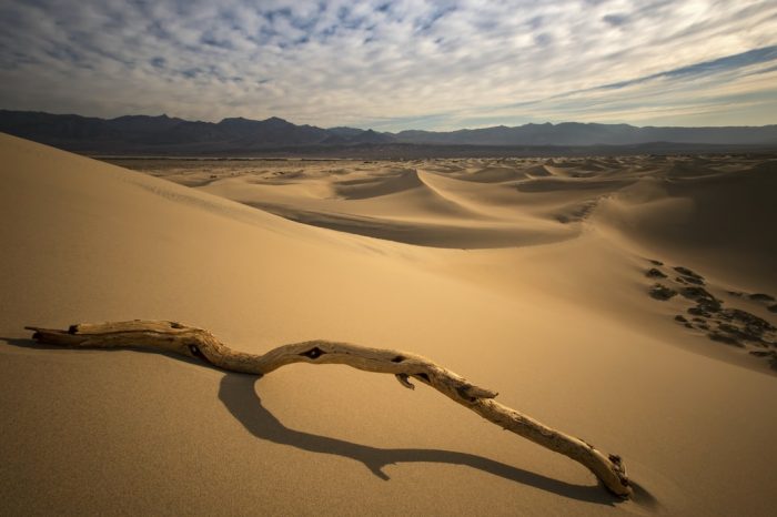 Nhịn đói trong ngôi nhà đầy thức ăn