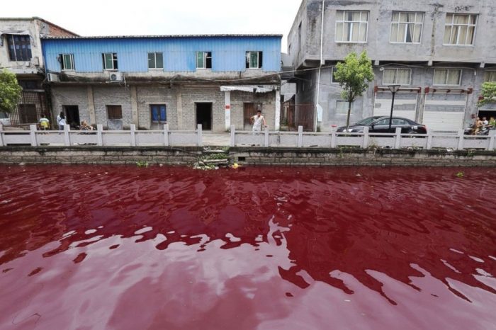 Chuyện gì đang xảy ra khi các ‘dòng sông máu’ hiện diện khắp thế giới?